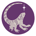 Studio Iguana profile picture